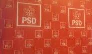 PSD Olt: „Cine nu are un Paul Stănescu în partid să-și caute. Noi îl avem pe cel original!”