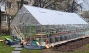 Liceul „Nicolae Titulescu” Slatina are o seră în care profesorii și elevii au plantat semințe și flori